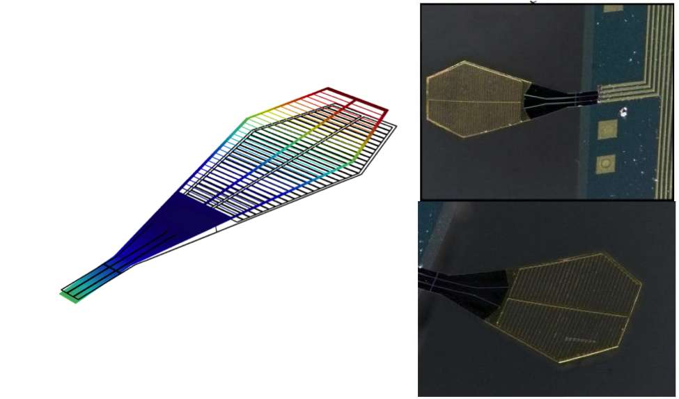 Research project photo