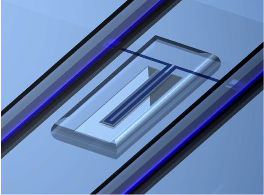 Research project photo