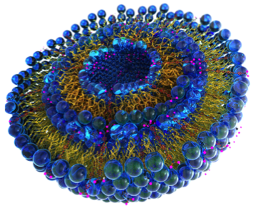 Research project photo