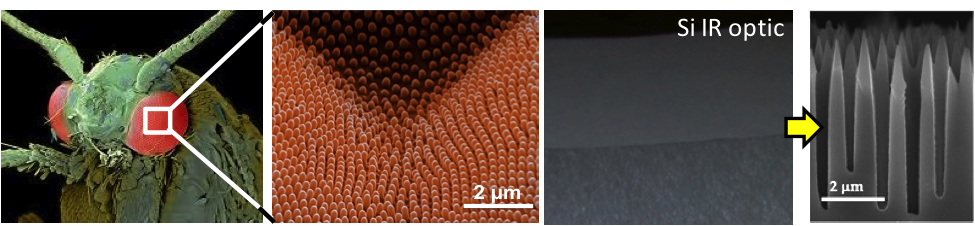 Research project photo