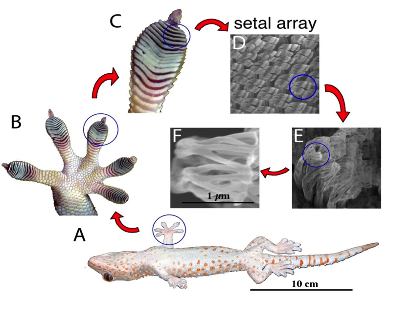 Research project photo