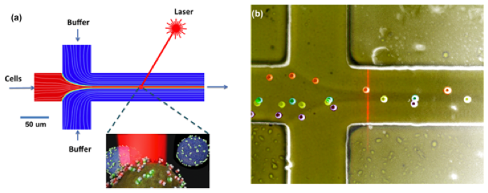Research project photo
