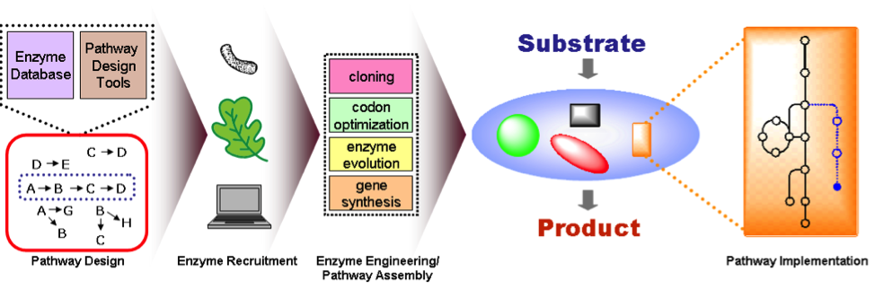 Research project photo