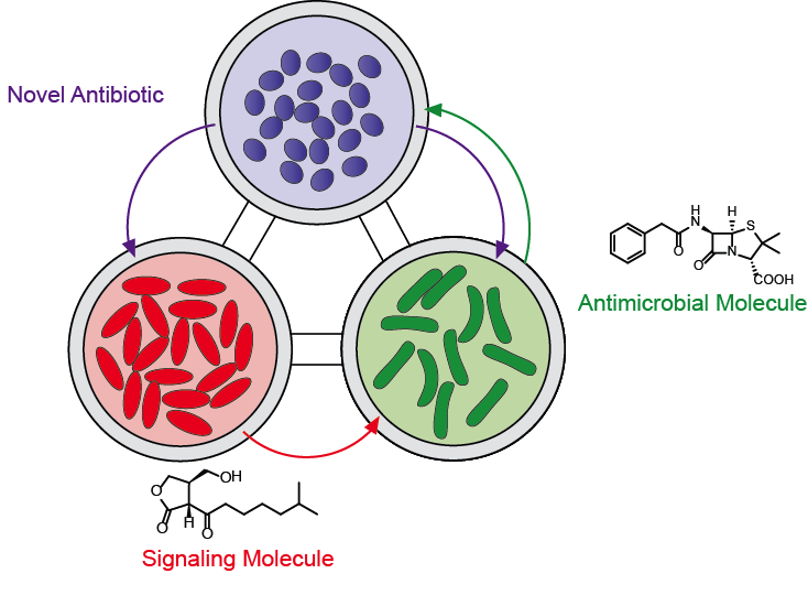 Research project photo