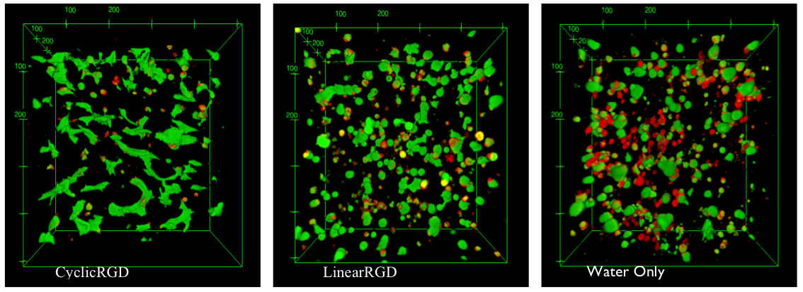 Research project photo