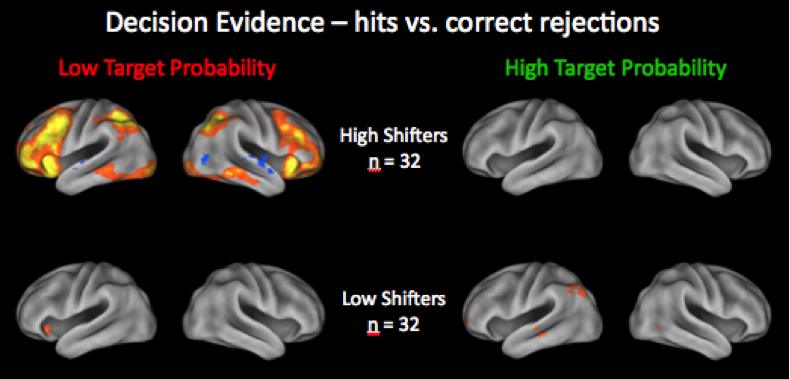 Research project photo