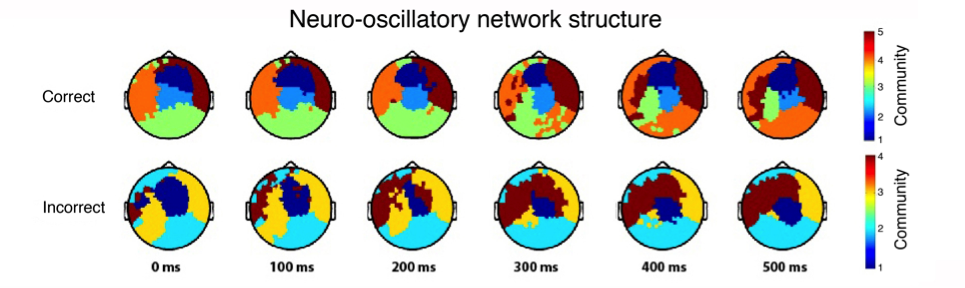 Research project photo