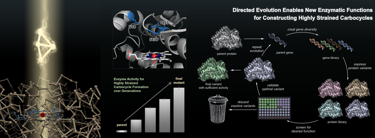 Research project photo