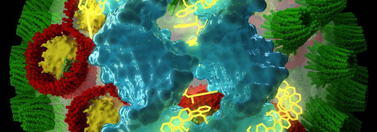 Research project photo