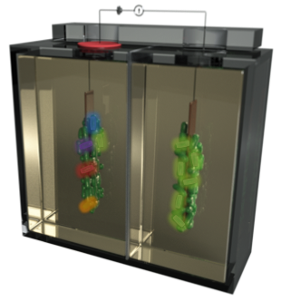 Research project photo