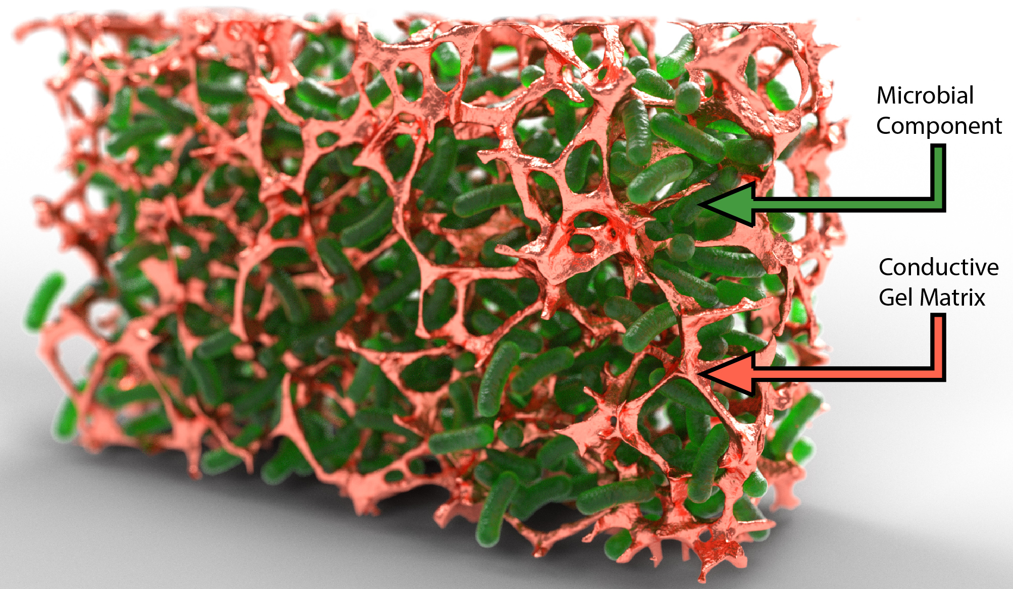 Research project photo