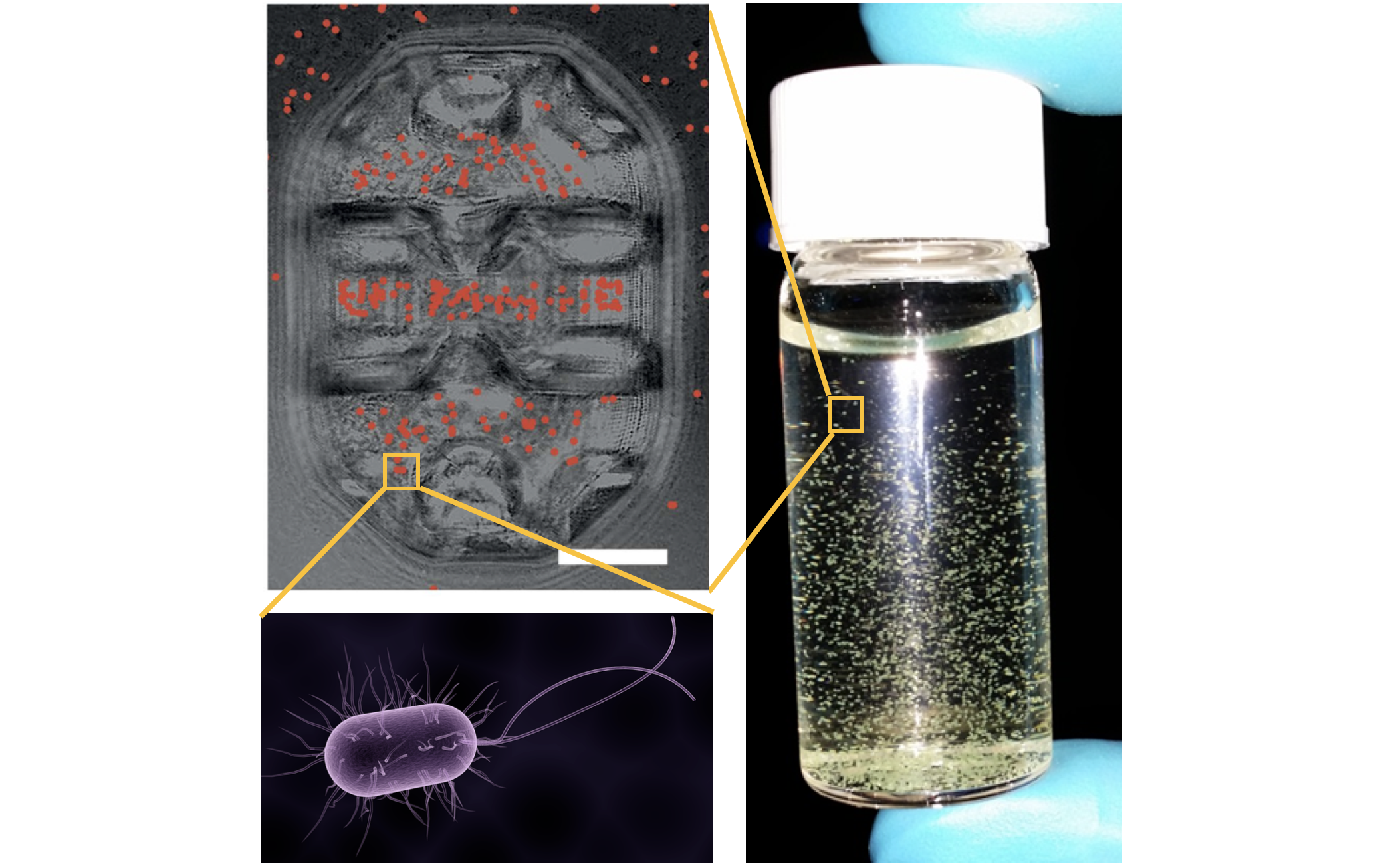 Research project photo