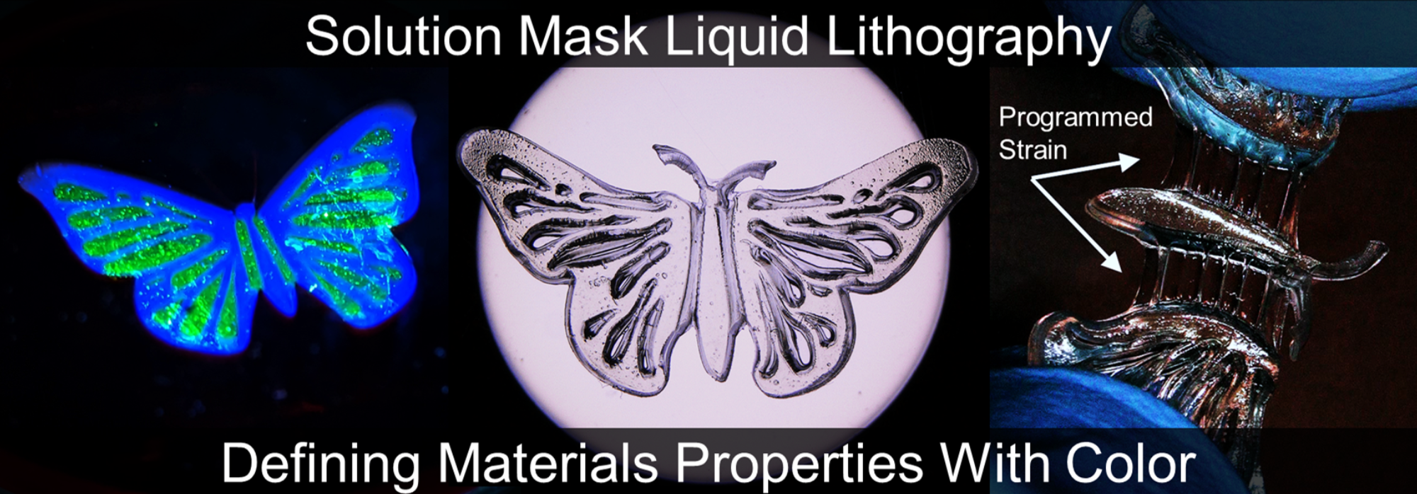 Research project photo