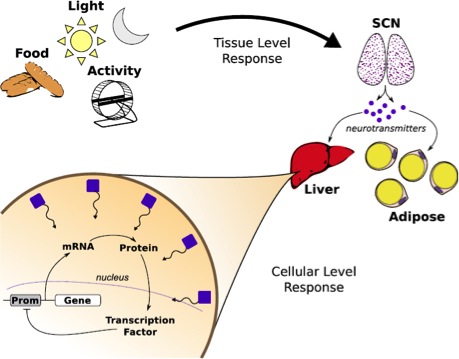 Research project photo