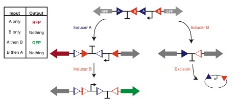 Research project photo