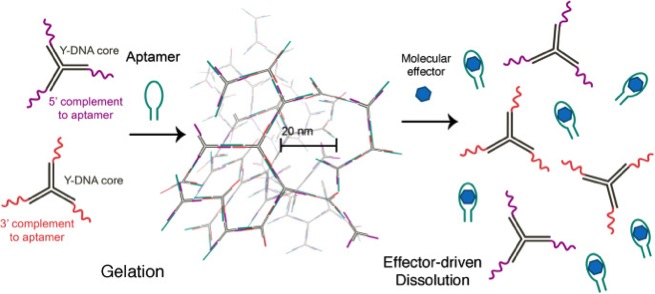 Research project photo