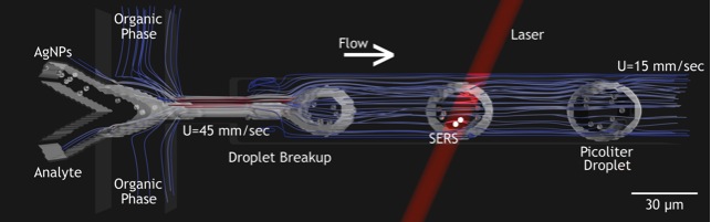 Research project photo