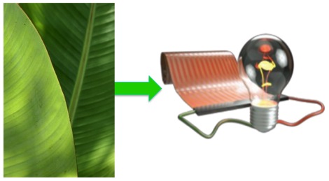 Research project photo