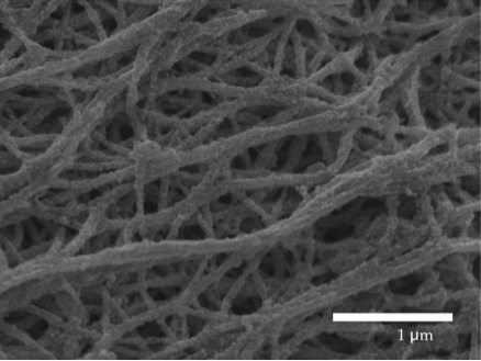 Research project photo