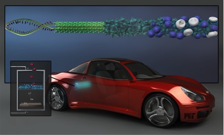 Research project photo