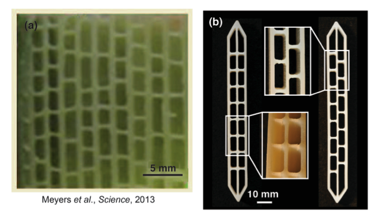 Research project photo