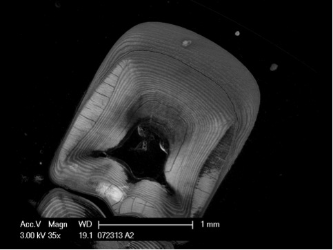 Research project photo