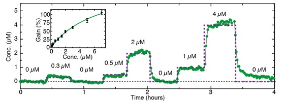 Research project photo