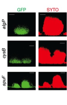 Research project photo