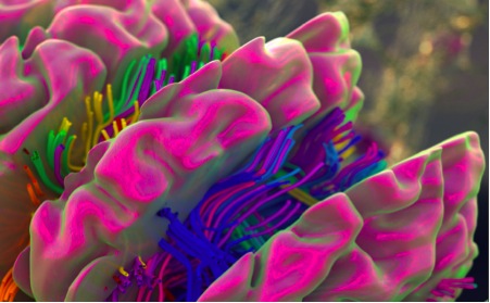 Research project photo