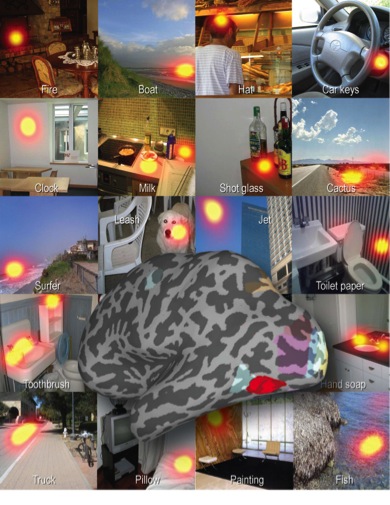 Research project photo