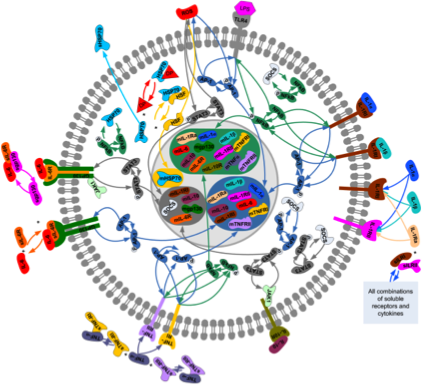 Research project photo