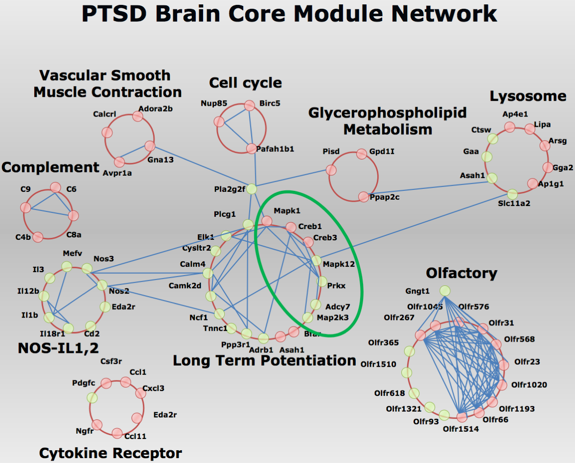 Research project photo