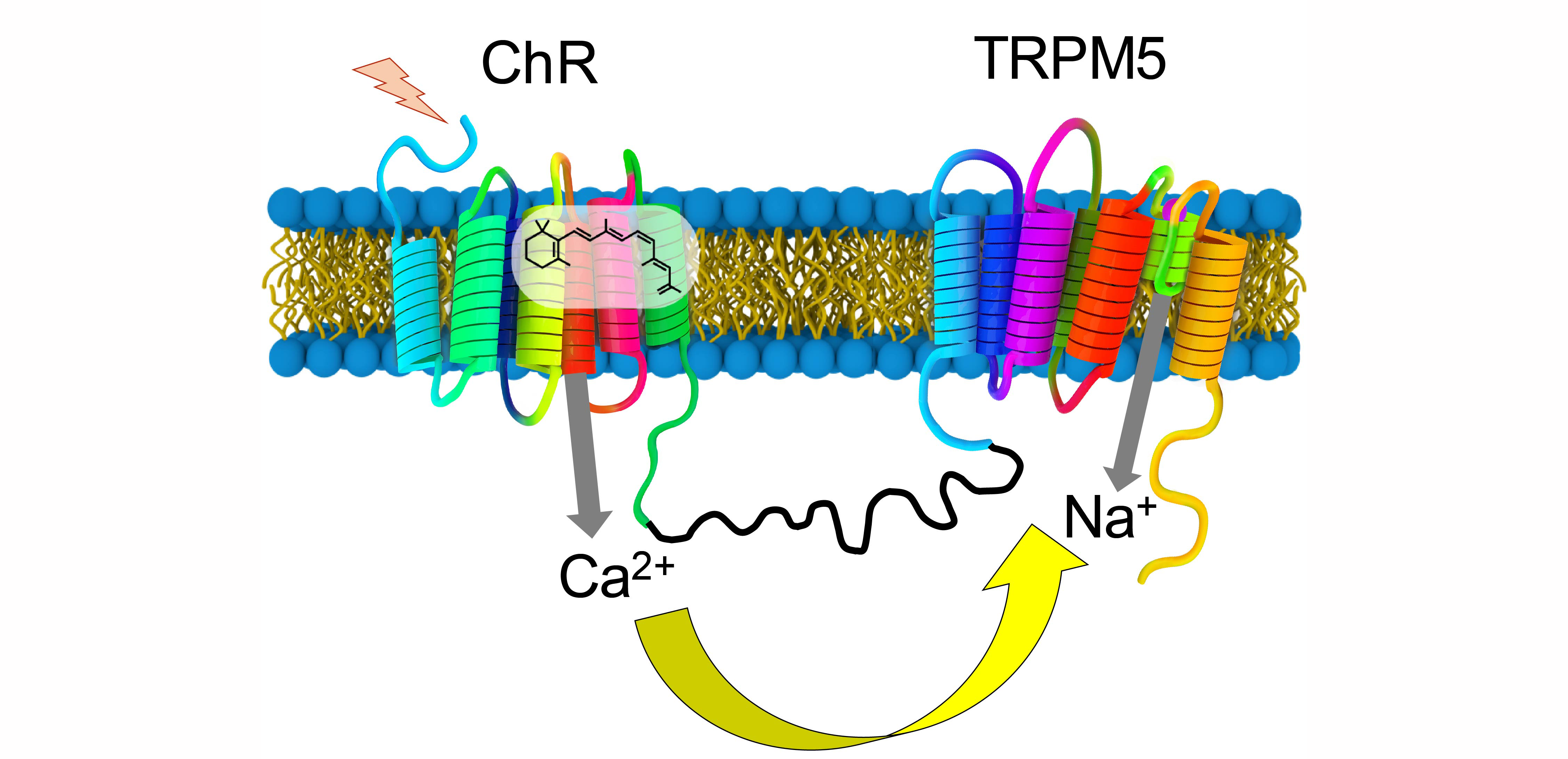 Research project photo