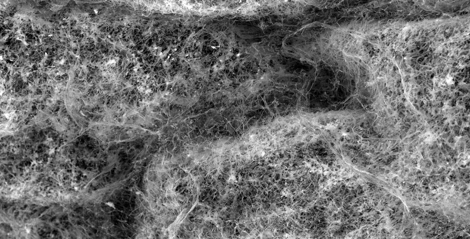 Research project photo