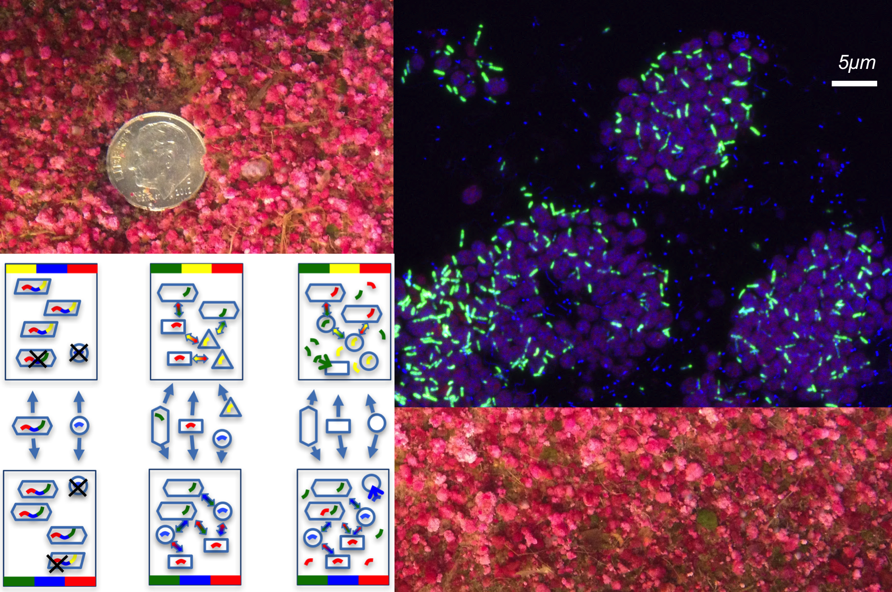 Research project photo