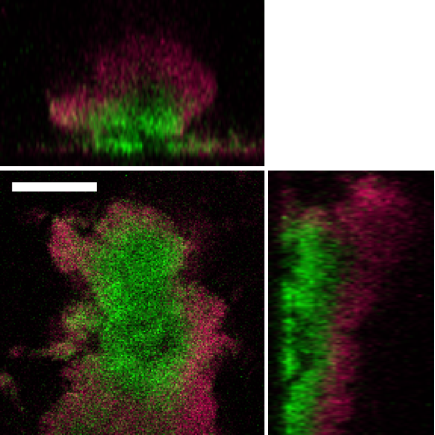 Research project photo
