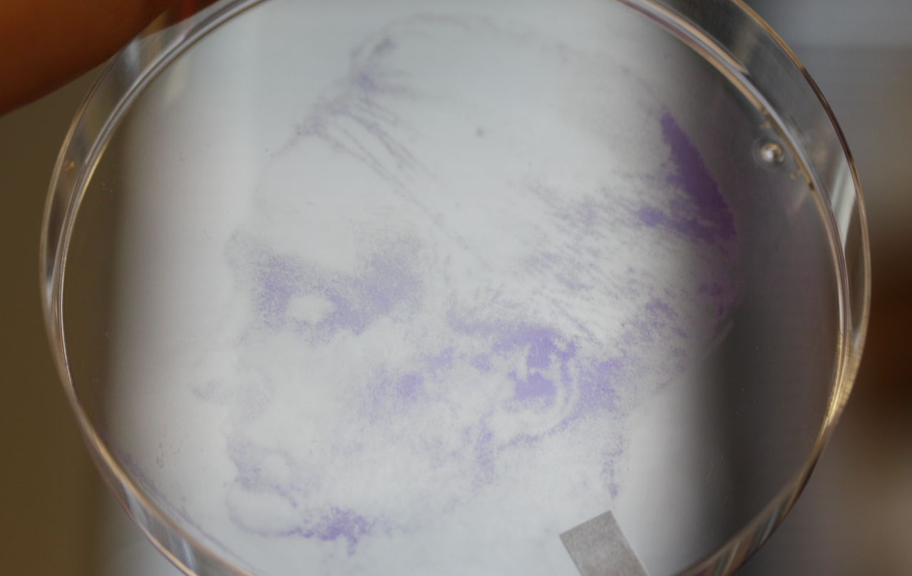 Research project photo