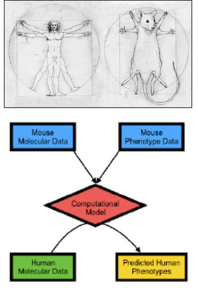 Lauffenburger Project Image