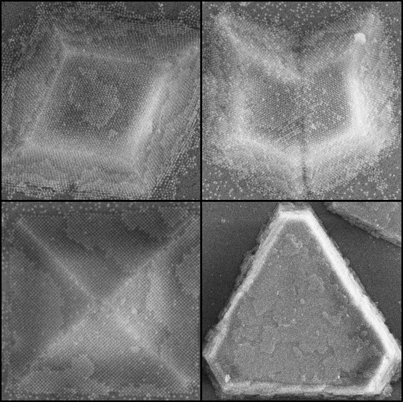 Macfarlane Project Image