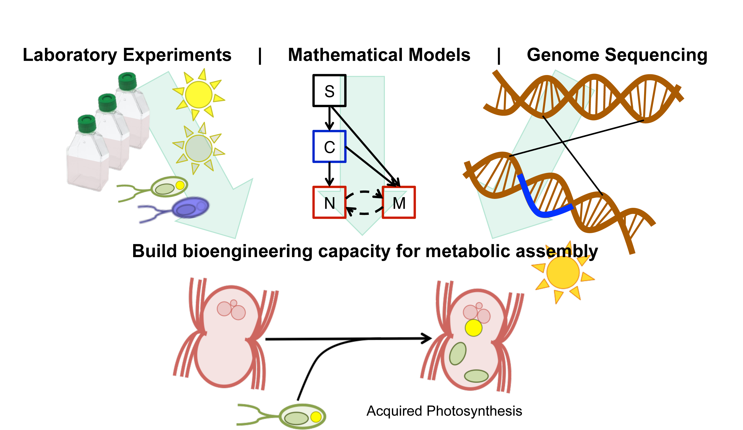 Moeller_Project_Image