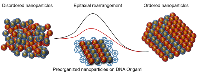 Bathe-Macfarlane Project Image