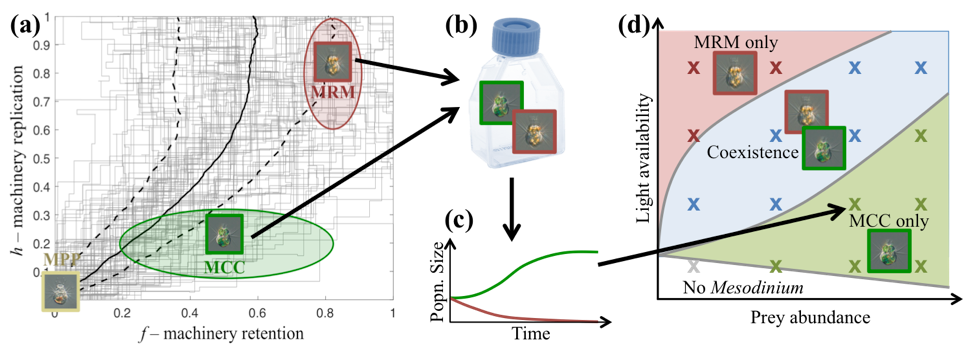 Moeller Project Image