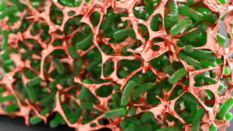 Biologically-Enabled Materials