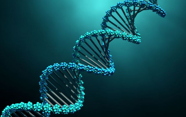 DNA