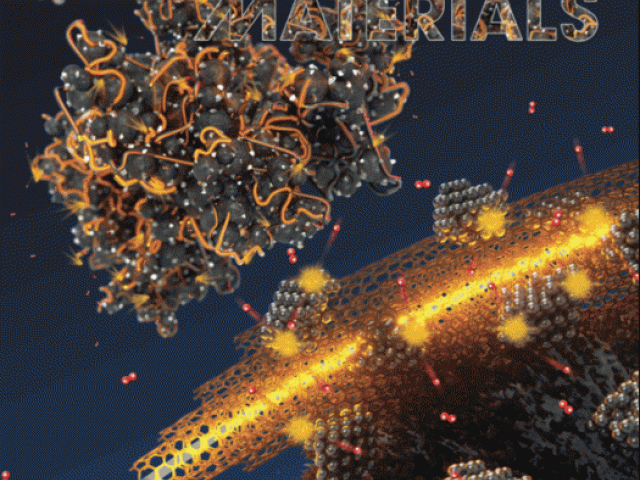 Advanced Functional Materials